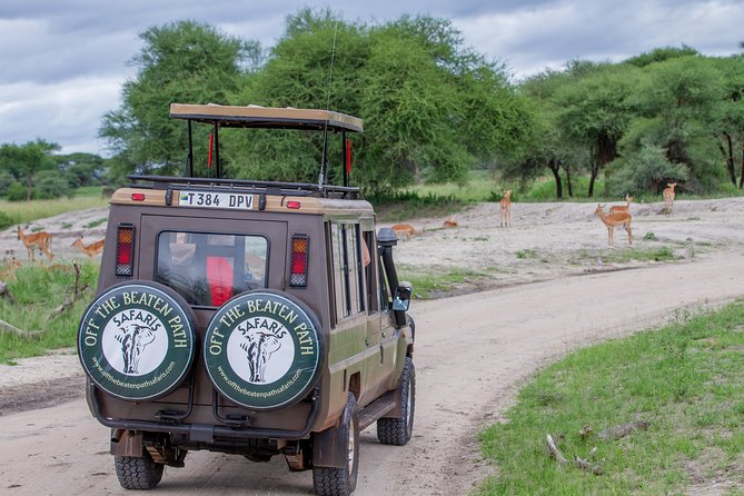 4 Days Tarangire , Ngorongoro ,Manyara and lake Eyasi village - What the private format adds