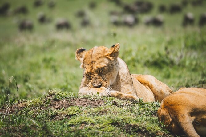 4 Days Tarangire, Serengeti and Ngorongoro Crater Camping Safari - Comfort, camping, and the pace of the road