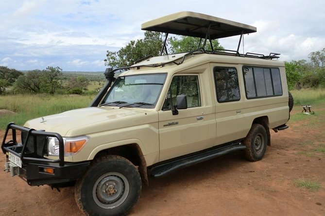 4 days Tarangire, Serengeti & Ngorongoro - Three famous parks in four demanding days