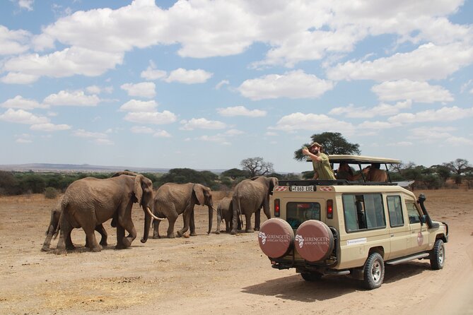4 Days Tarangire Serengeti Ngorongoro Crater - Tarangire National Park: elephants on the first day
