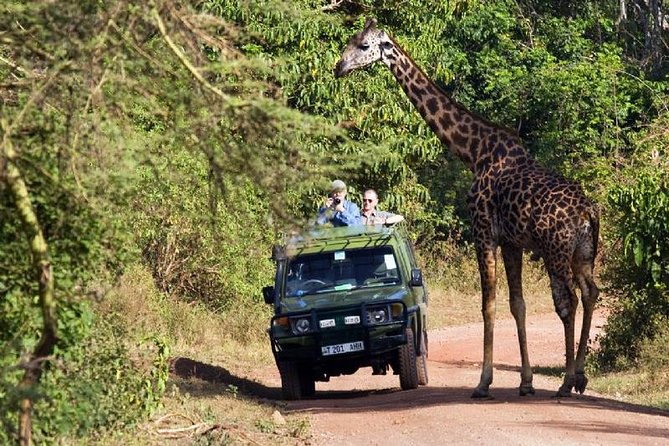 4 Days Tarangire Serengeti Ngorongoro Crater - Who should book this safari