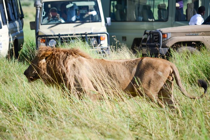 4 Days Tarangire ,Serengeti &Ngorongoro crater group Tour - Day one: Tarangire’s elephant country