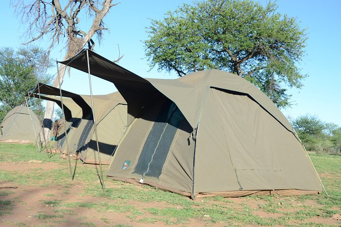 4 Days Tarangire ,Serengeti &Ngorongoro crater group Tour - Day four: Down into Ngorongoro Crater