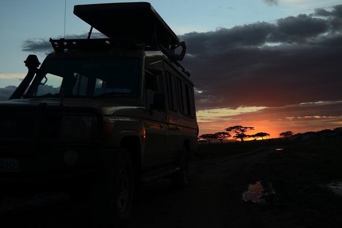 4 Days Tarangire ,Serengeti &Ngorongoro crater group Tour - Camping, comfort, and the daily rhythm