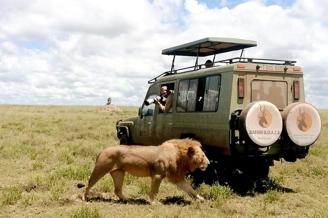 4 Days Tarangire, Serengeti & Ngorongoro Crater Joining Group - Who Should Book This Safari?