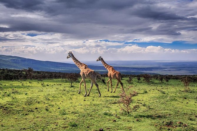 4 Days Tarangire Serengeti Ngorongoro Crater - The road to Serengeti via the Rift Valley