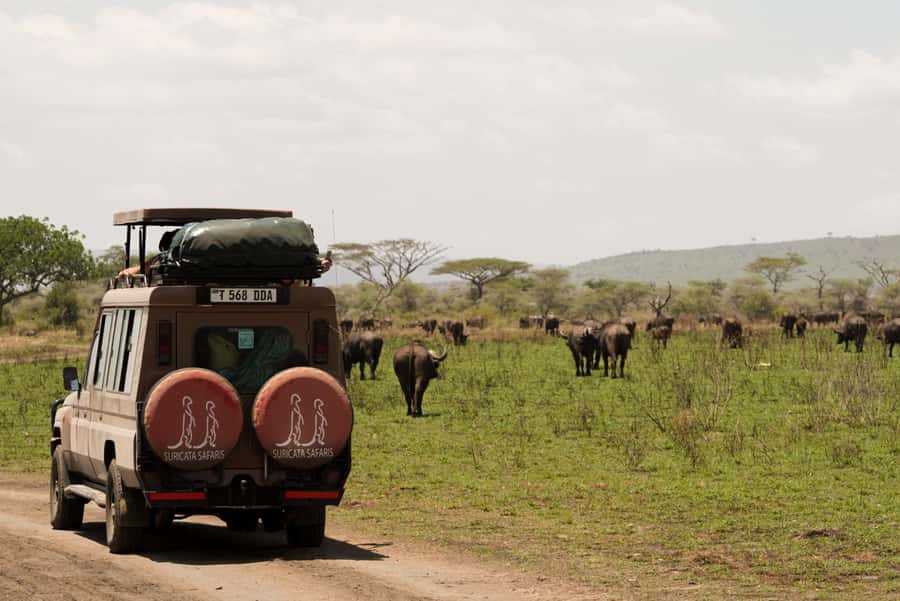 4 Days Tarangire, Serengeti, Ngorongoro Group Camping Safari - Day 2: The road to Serengeti