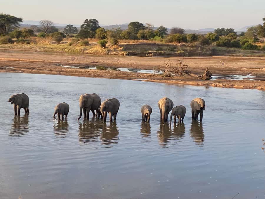 4 Days Tarangire, Serengeti, Ngorongoro Mid-range Safari - Why the small group matters