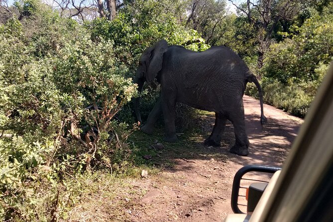4-Days Tour to Tanzania National parks - Day four: Ngorongoro Crater from the rim to the floor