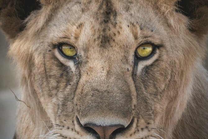 4-Days Tour to Tanzania National parks - What the price includes at $1,900