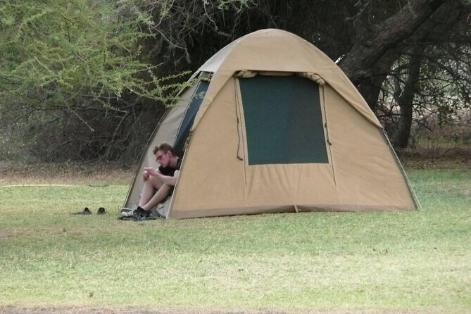 4 Days Wildlife Safari and Cultural Experience in Tanzania - Day 2: Lake Manyara’s forest, lake, and tree-climbing lions