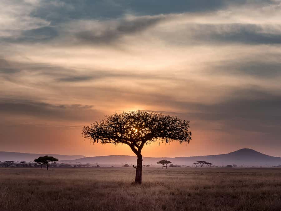 5-day Affordable Joint Group Safari (with Extra Activities) - A five-day route with real variety