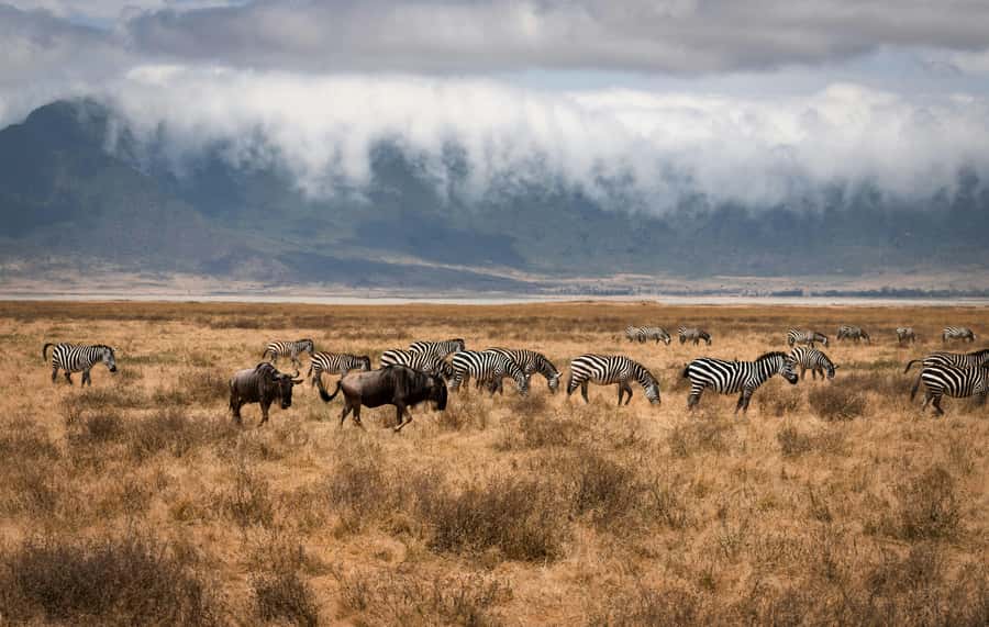 5-day Affordable Joint Group Safari (with Extra Activities) - Price, flexibility and practical booking points