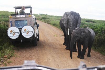 5-Day Highlights mid-Range Crater, Serengeti, Tarangire