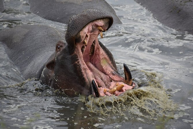 5-Day Highlights mid-Range Crater, Serengeti, Tarangire - Lake Manyara closes with birds, woodland, and cliffs