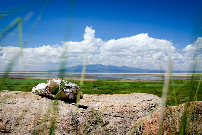5-Day Majestic Tanzania Safari - High End All Inclusive - Day 2: The long road into Serengeti