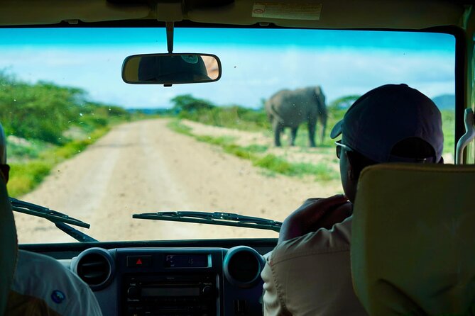 5-Day Mid-Range Safari in Tanzania - Day 3: The Ngorongoro Crater wildlife bowl