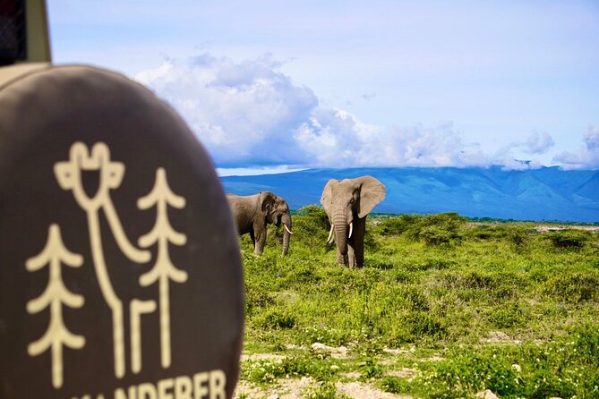 5-Day Mid-Range Safari in Tanzania - Day 4: Lake Manyara’s forest and Rift Valley views