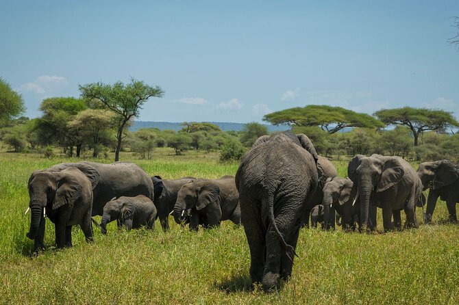 5-Day Mid-Range Safari in Tanzania - What the $2,271.80 price covers