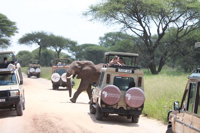 5 Day Mid range Tanzania Safari - Day 1: Lake Manyara’s cliffs, forests, and tree-climbing lions