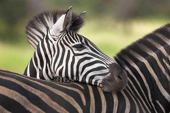 5 Day Mid range Tanzania Safari - Accommodation: what mid-range means here