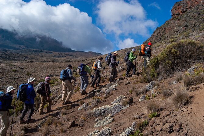 5 Day Mount Kilimanjaro Climbing via Marangu Route - Day 2: Heathland, giant plants, and Horombo Huts