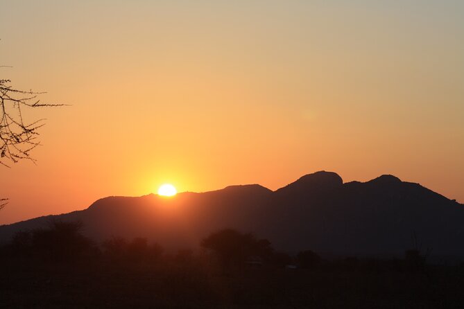 5-Day private Camping Safari Tour in Tanzania - Day 1: Tarangire’s elephants and baobab country