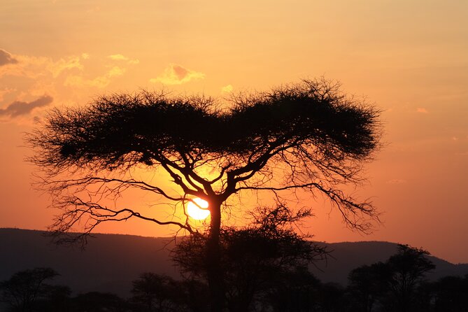 5-Day private Camping Safari Tour in Tanzania - Day 5: Descending into Ngorongoro Crater
