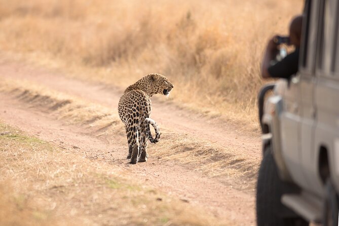 5-Day Private Camping Tour to Serengeti, Ngorongoro & Tarangire - Why this route works from Arusha