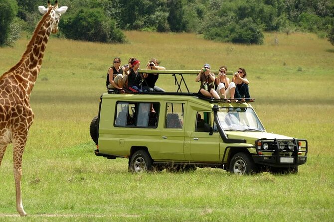 5 Day Private Guided Wildebeest Migration Tour - Day 1: Tarangire’s elephants and baobab trees
