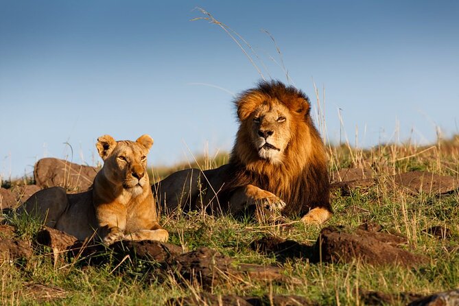5 Day Private Guided Wildebeest Migration Tour - What the $3,850 price really covers