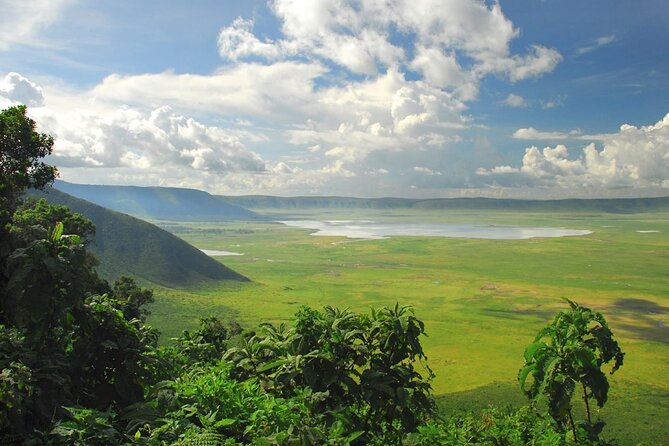 5 Day Private Guided Wildebeest Migration Tour - Why a private vehicle changes the experience