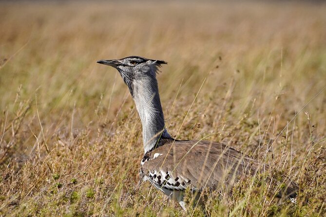 5-Day Private midrange Tour in Arusha with Airport Pickup - Key points to know before booking