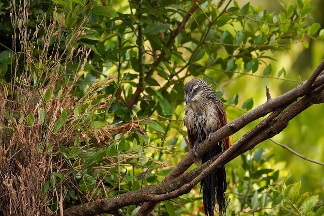 5-Day Private midrange Tour in Arusha with Airport Pickup - Midrange comfort, meals, and what to clarify