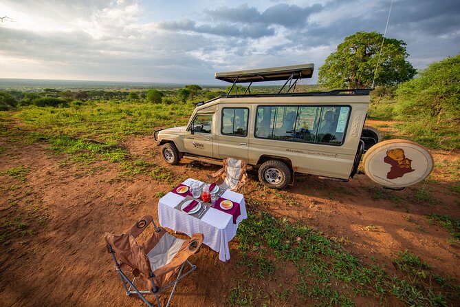 5-Day Private Northern Tanzania Safari from Arusha - Day 4: Central Serengeti to the Ngorongoro area