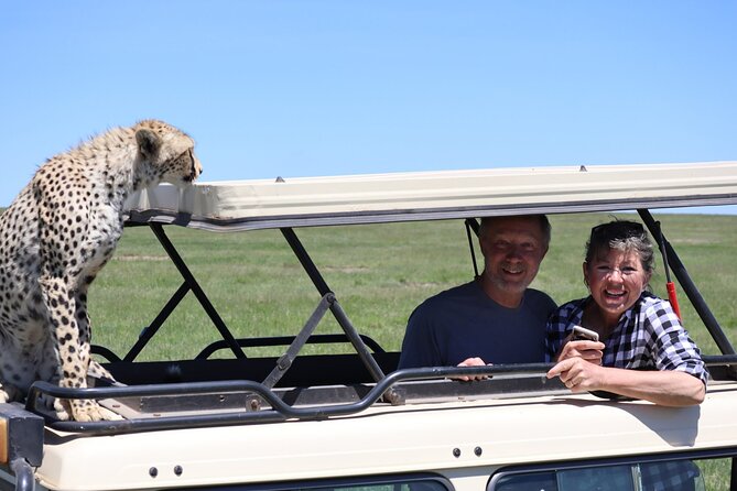 5-Day Private Safari in The Serengeti with Accommodation - Day 5: Elephants, baobabs, and birds in Tarangire