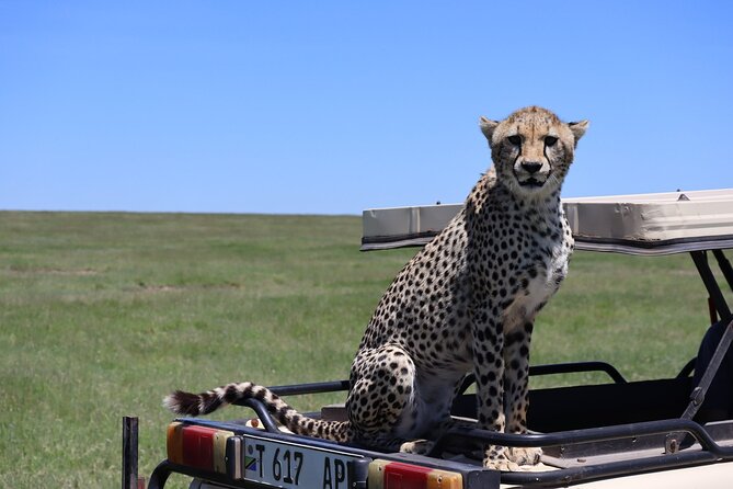 5-Day Private Safari in The Serengeti with Accommodation - What the $2,700 price really covers
