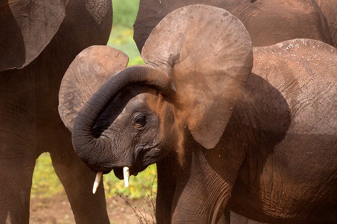 5-Day Private Safari Tour in Northern Tanzania - Day two: the long road to the Serengeti