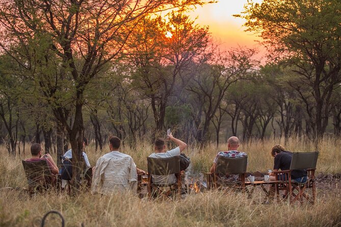 5-Day Private Safari Tour in Tanzania's Wildlife - What this five-day route does well