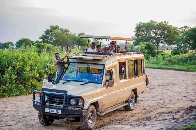 5-Day Private Tour in Mikumi National Park and Udzungwa Mountain - Day 4: from Mikumi wildlife to Udzungwa mountain trails