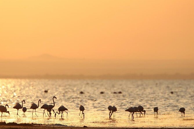5 Day: Scenic Northern Circuit Safari - Day 2: The long road into the Serengeti
