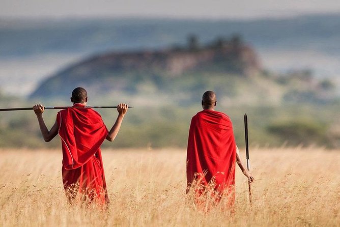 5 Day Serengeti Luxury Safari - Meals, transport, and daily comfort