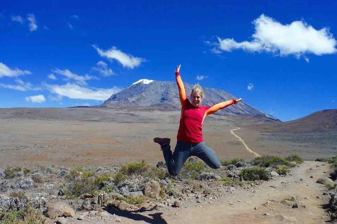 5 Days (4 Night) Marangu Route - The first thing to settle: Marangu or a western route?