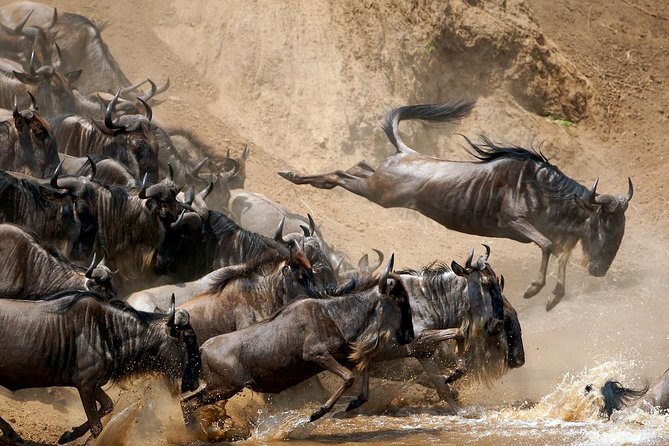 5 Days / 4 Nights Join group safari - Ngorongoro: dramatic views and a major wildlife stop