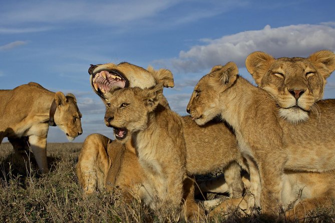 5 Days / 4 Nights Join group safari - Lake Manyara completes the circuit