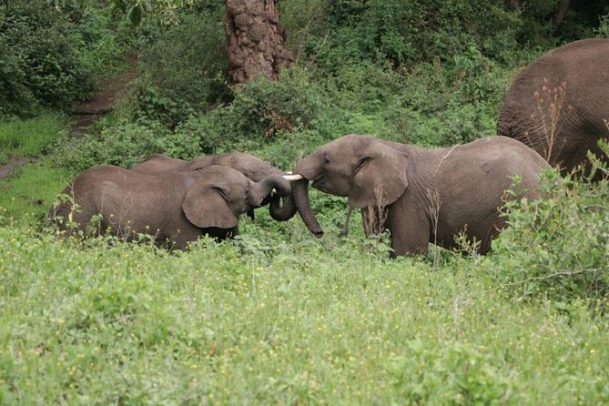 5 Days / 4 Nights Join group safari - The six-seat 4x4 makes a real difference
