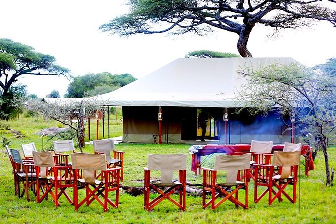 5 Days 4 Nights Tarangire, Serengeti , Ngorongoro & Manyara Wildlife Safari - Day three, the safari’s fullest day in Serengeti