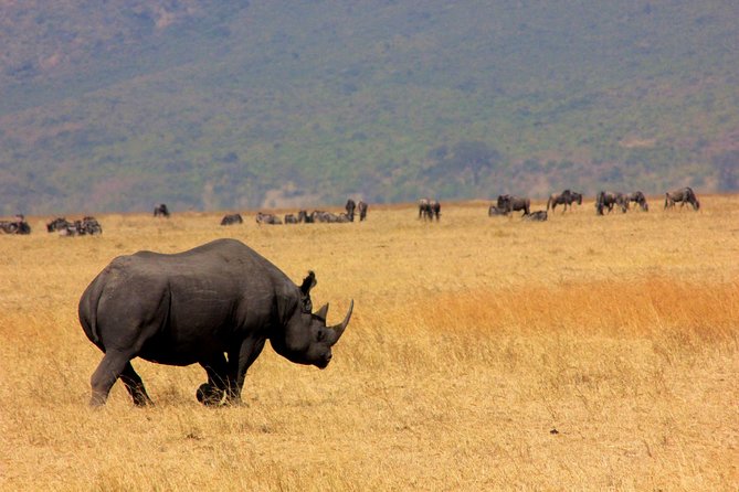 5 Days 4 Nights Tarangire, Serengeti , Ngorongoro & Manyara Wildlife Safari - Day four, descending into Ngorongoro Crater