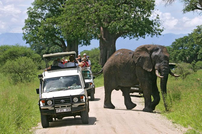 5 Days 4 Nights Tarangire, Serengeti , Ngorongoro & Manyara Wildlife Safari - Day five, birds, monkeys, and Rift Valley views at Manyara