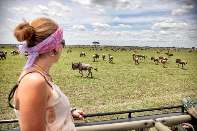 5 Days 4 Nights Tarangire, Serengeti , Ngorongoro & Manyara Wildlife Safari - Meals, accommodation, and the $2,600 price